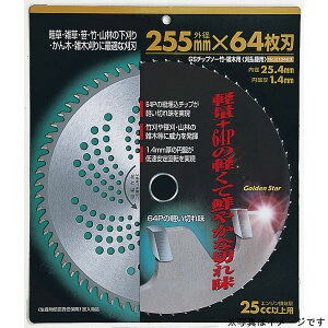 yGg[P10{10/1YzL{V `bv\[ Ŋ@p @p @p 蕥@p @p @p K[fjO | _GS #210422 `bv\[|EGؗp 230x64P