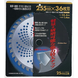 yGg[P10{10/1YzL{V `bv\[ Ŋ@p @p @p 蕥@p @p @p K[fjO | _GS #210425 `bv\[`bvt 255x36P