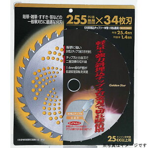 yGg[P10{10/1YzL{V `bv\[ Ŋ@p @p @p 蕥@p @p @p K[fjO | _GS #210426 `bv\[ W^ 230x30P