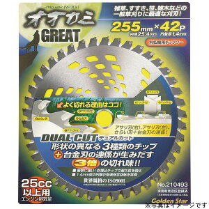 yGg[P10{10/1YzL{V `bv\[ Ŋ@p @p @p 蕥@p @p @p K[fjO | _GS #210492 BPS`bv\[IIJ~O[g230x36P