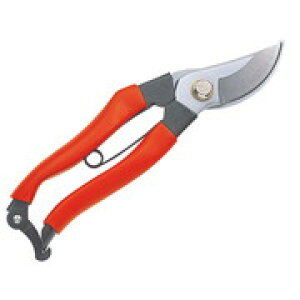 yGg[P10{zL{V  ڂ S[fX^[ Golden Star ͂ nT~  K[fjO _ | p pi _Ɨpi |pi  ƒ؉ GS #2246   O