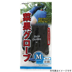 yGg[P5{zL{V #4311-S ؉ʃO[u(S) ubN  L{V ڂ S[fX^[ ؉ʃO[u K[fjO |  _ _ ؎n n