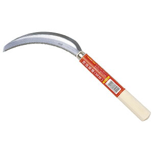 yGg[P5{z L{V  K[fjO H | _ _  V^t S[fX^[ V^̂ ԕ |  G 抙  |pi 