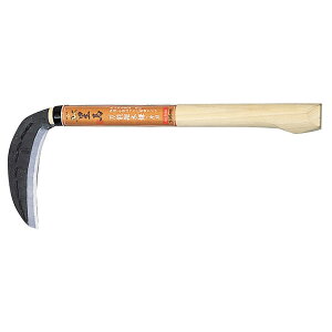 yGg[P5{z L{V  K[fjO H | _ _  V^t S[fX^[ V^̂ ԕ |  G 抙  |pi 