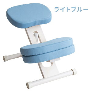 yGg[P5{zypǂȂ֎qz qp wK֎q NbVtv|[V`FA LbY CH-889CK CH-N889CK i`r Cgi`r zCgr wK ׋ h