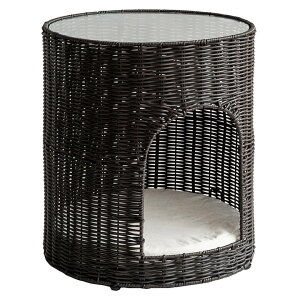 yGg[P5{zL PienetisGlj CGR-400 ybgp Ƌ CeA rOƋ ֎q  {쏊 xbh ߋ  낮  ybgp Ƌ CeA rO