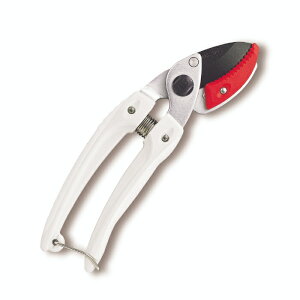 yGg[P10{zAX 133DX-W ~jG[X Ar   | Y K[fjO DIY   ʎ }؂