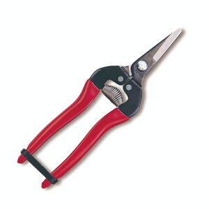 yGg[P5{zAX 300S EV[g^Cv 175mm BP   | Y K[fjO DIY   ʎ }؂