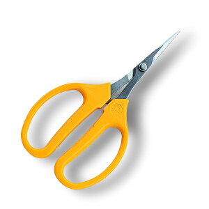 yGg[P5{zAX 320DX-T ԂǂfbNXn ܓ   | Y K[fjO DIY   ʎ }؂