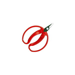 yGg[P5{zAX 420 ݂̎ ܓ(JANt)   | Y K[fjO DIY   ʎ }؂