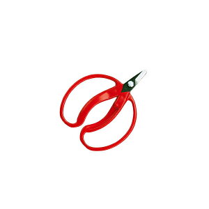 yGg[P5{zAX 410 ݂̎ ȑܓ(JANt)   | Y K[fjO DIY   ʎ }؂