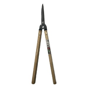 yGg[P5{z  165 #155092