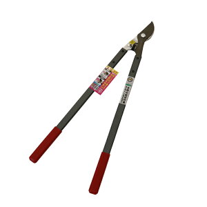 yGg[P5{zFG ͑} S621-RG #192451