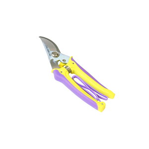 yGg[P10{zFG t[p FG100-P #192503