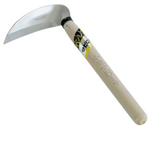 yGg[P5{z؍H Xe120mm ƒ؉ | _ _ H K[fjO K[fACe n ƒ؉ | _ _ H K[fjO K[fACe 