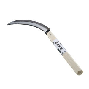 yGg[P5{z؍H Zpǋ170mm ƒ؉ | _ _ H K[fjO K[fACe n ƒ؉ | _ _ H K[fjO K[fACe 