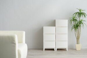 TJ RSD-S344WH [XVF[h344 zCg [ {bNX o Ԏ[ y vX`bN TCY TCYWJ J[WJ Lb` xbh gC rO h[ N[[