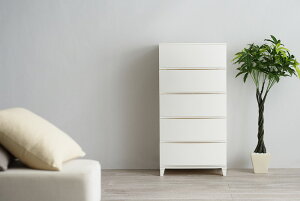 TJ RSD-S545WH [XVF[h545 zCg [ {bNX o Ԏ[ y vX`bN TCY TCYWJ J[WJ Lb` xbh gC rO h[ N[[