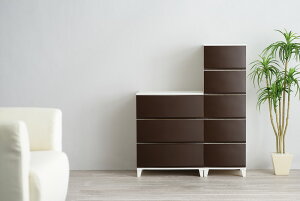 TJ RSD-S543BR [XVF[h543 uE [ {bNX o Ԏ[ y vX`bN TCY TCYWJ J[WJ Lb` xbh gC rO h[ N[[