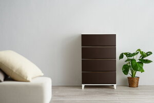 TJ RSD-S544BR [XVF[h544 uE [ {bNX o Ԏ[ y vX`bN TCY TCYWJ J[WJ Lb` xbh gC rO h[ N[[