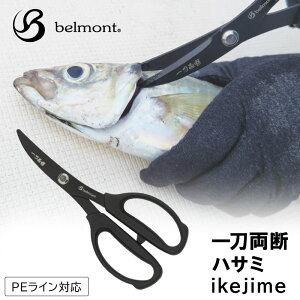 yGg[P10{zߎJpnT~ S18cm nT~ MP-290 ꓁fnT~ ikejime Y CPW tbfH }CNMUn ނ ނ ދ tBbVO \nT~  PEC