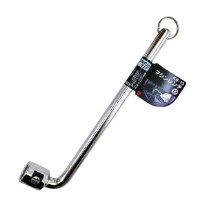 xXgc[ }V` |bV 13 K[fjO ƒ؉ DIY P[X H 蓮H H ^ pP[X jH Ɨp