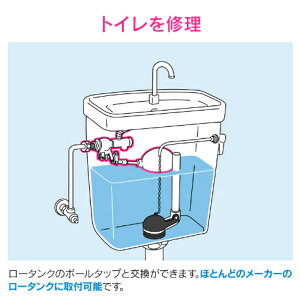 �J�N�_�C GAONA GA-NG001 �}���`�{�[���^�b�v