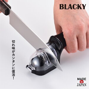 yGg[P10{zubL[ _ChV[vi[ V[vi[     ȒP  ؂ꖡ Lb`pi S y _Chu {