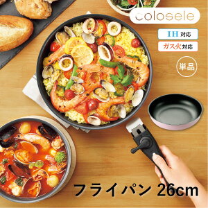 yGg[P5{zRZ tCp26cm Lb`EFA tCp sN 肪@O ֗ RpNg IHΉ ΑΉ E nh   J