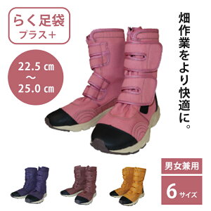 yGg[P5{zyIׂ4J[z炭܃vX  qf 22.5`25.0cm  C Xj[J[ ܃u[c d Ɨp Od _ ы _ K[fjO d ƒ؉ 