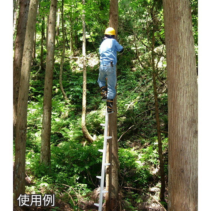 楽天市場】枝打はしご 枝打ち梯子 全長4.62m 軽量 アルミ製 枝打ち 木 