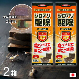 y2Zbg / y̒ɖ߂ăVAށz ܂Ƃߔ CJ VAn^[ 6 E Q  쏜 VA { Ɩp v A 날 ΍ h Q쏜 