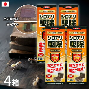 y 4Zbg / y̒ɖ߂ăVAށz ܂Ƃߔ CJ VAn^[ 6 E Q  쏜 VA { Ɩp v A 날 ΍ h Q쏜 