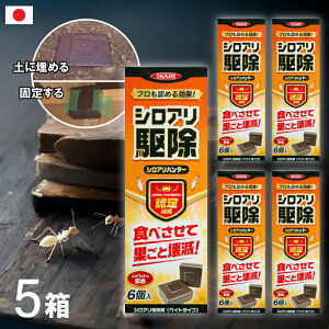 y 5Zbg / y̒ɖ߂ăVAށz ܂Ƃߔ CJ VAn^[ 6 E Q  쏜 VA { Ɩp v A 날 ΍ h Q쏜 