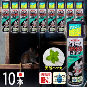 yGg[P5{zꔯ^ItFCX^I33x100O[ C Cpi oX^C ^I oX^I nh^I oX`FA ֎q  艱   Ό e  ˂