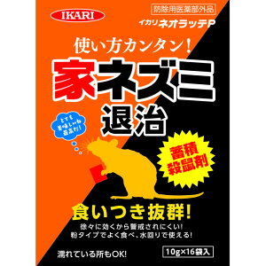 CJ lIbeP 16ܓ 10g×16 ʍw \ ܂Ƃߔ ܂Ƃߍw  lߑւ  Xv[ R  q h hJr ΍ L  h hb  t  悯 p 