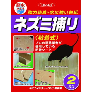 yGg[P5{zCJ ɂ悢`[NƖp@2 ʍw \ ܂Ƃߔ ܂Ƃߍw  lߑւ  Xv[ R  q h hJr ΍ L  h 