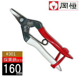 yGg[P5{zP ̉ 301 { | _ Â K[fjO ΂ ͂ |͂  | n ͂ oT~ _ ₷