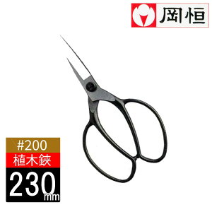 yGg[P10{10/1YzP A ~ #200 { | |  t[AWg ԉ ~ Â K[fjO ΂ ͂ |͂ 