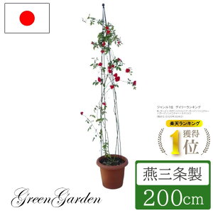 yGg[P10{zyVLO1 gsA[X^h gsA[^[ Ax 200cm { No.149 ы U o   KN o ΂ N}`X K[fjO 