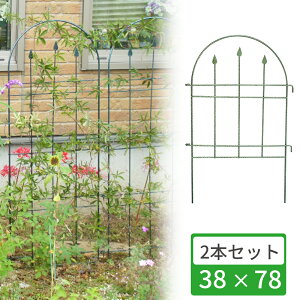 yGg[P10{zyyVLOlIz gX 2Zbg IxXN ACA 38×78cm { ы No.180 U o   KN o ΂ N}`X K[fjO 