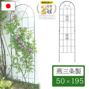 yGg[P5{zyVLO1ʊl K[fjO tFX gX ACA { 195cm XO[ [YIxXN IxXN o   KN o ΂ N