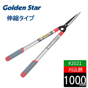 yGg[P10{10/1Yz } y Lk 700`1000mm A~ L{V  | _ Â K[fjO | ͂ oT~ 2021 {