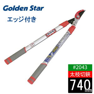 yGg[P10{z}  } y őؒfڈ35mm GbWt A~pCv L{V  | _ Â K[fjO | ͂ oT~ 2043 {