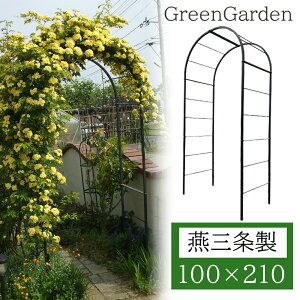 yGg[P10{zyyVLOlIz t[A[` [YA[` K[fA[` { ы No.217 | K[fjOpi K[f t@j`[ KNA[` O |p