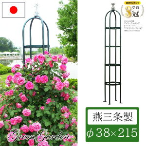 yGg[P10{10/1YzyyVLO1ʊlIz IxXN ACA { 215cm No.220 ы XO[ [YIxXN K[fIxXN o   KN 