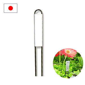 yGg[P5{z|x vc}[J[ K[fjO { lD^O Ԓd  Apx l[x K[fjOpi |pi 뉀 AW A v^[