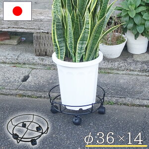 yGg[P5{zv^[X^h ̂ LX^[t MTCY O  { K[fjO ԑ u X^h  |pi v^[ Aؔ ы No.351 y 