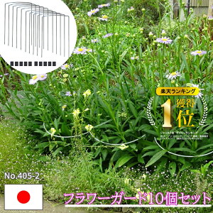 yGg[P10{zyVLO1ʊlI Ԏx Ax 10{Zbg Ԏx 24×34 |x { ^b` |h~ ܂h~ ΍ 䕗΍ | K[fjO v^[ 