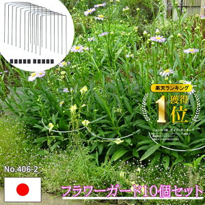 yGg[P10{zyVLO1ʊlI Ԏx Ax 10{Zbg Ԏx 24×46 |x { ^b` |h~ ܂h~ ΍ 䕗΍ | K[fjO v^[ 